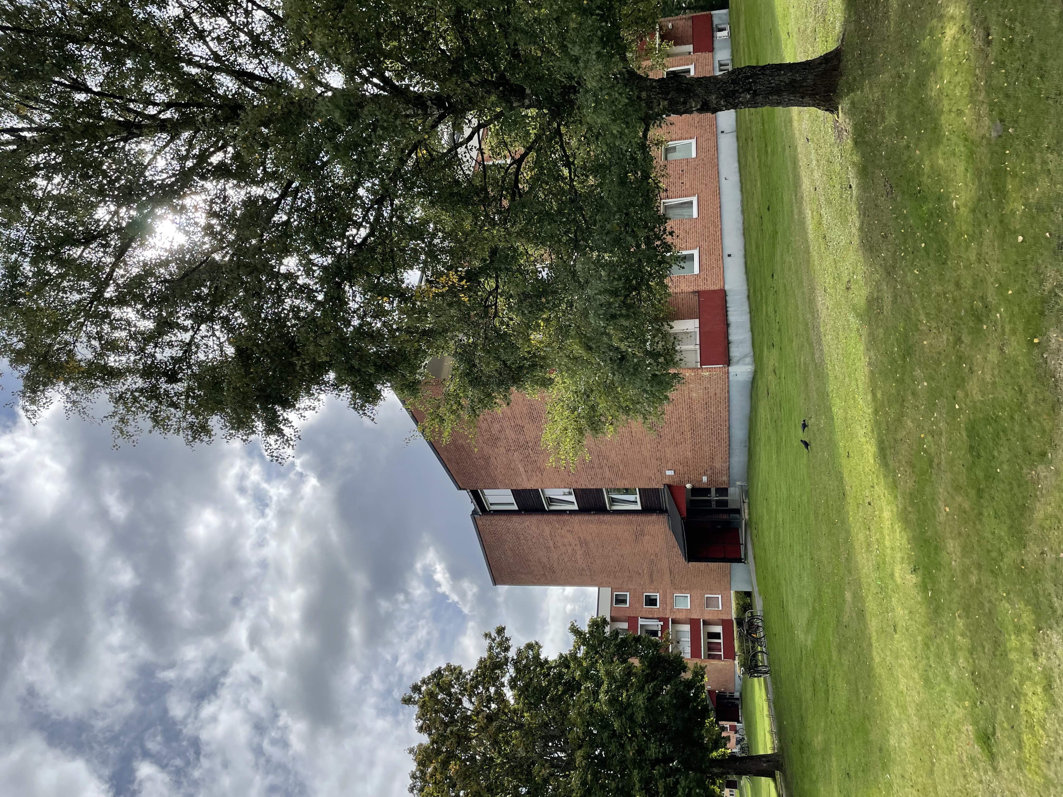 Linjalen 11